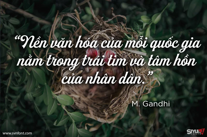 1775621921774.webp