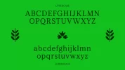 Quen Typeface  123-06.webp
