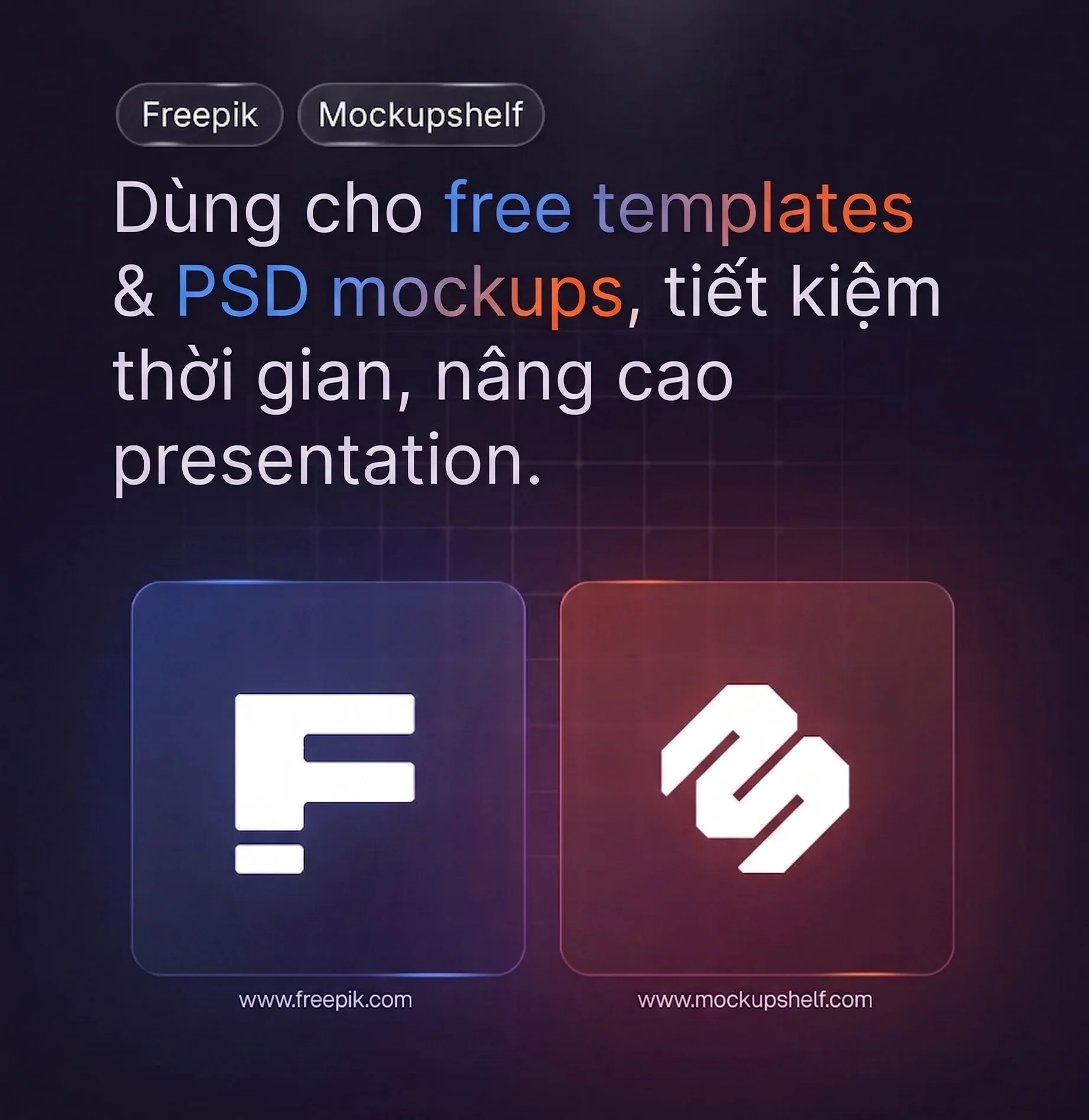 5.webp