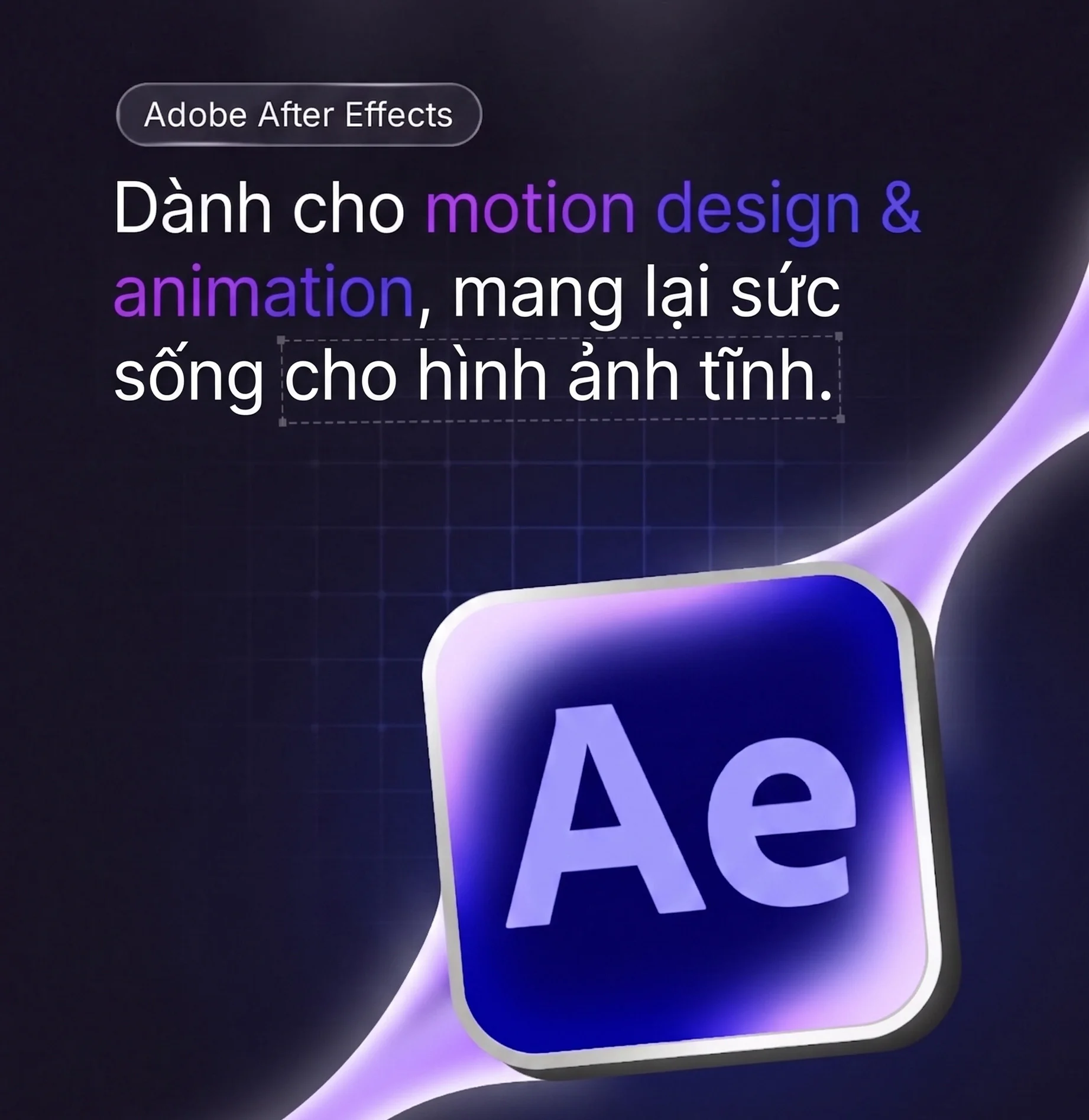 3.webp