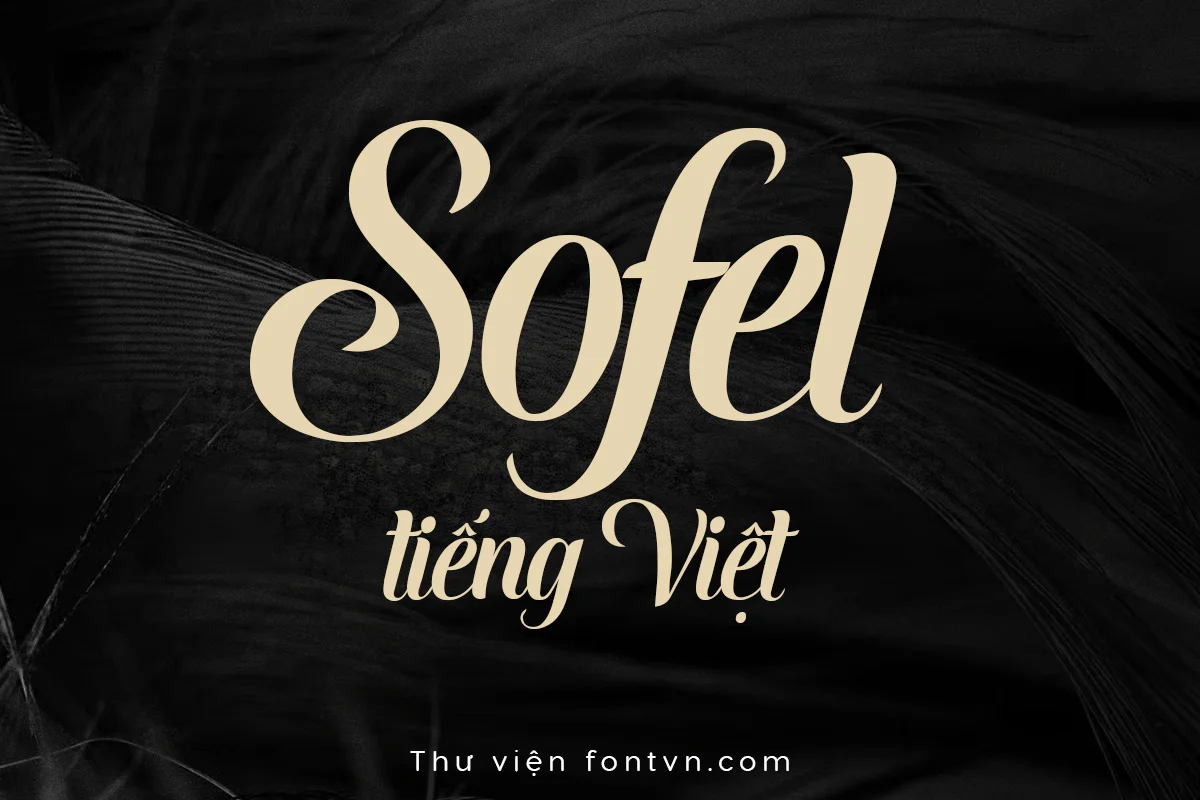 DVN - Sofel tiếng Việt - Calligraphy Cổ Điển & Sang Trọng