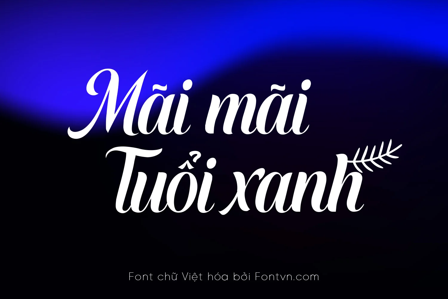 sofel2.webp