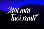 sofel2.webp
