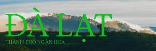 Da lat Bro.webp