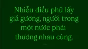 15-15.webp