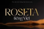 roseta.webp