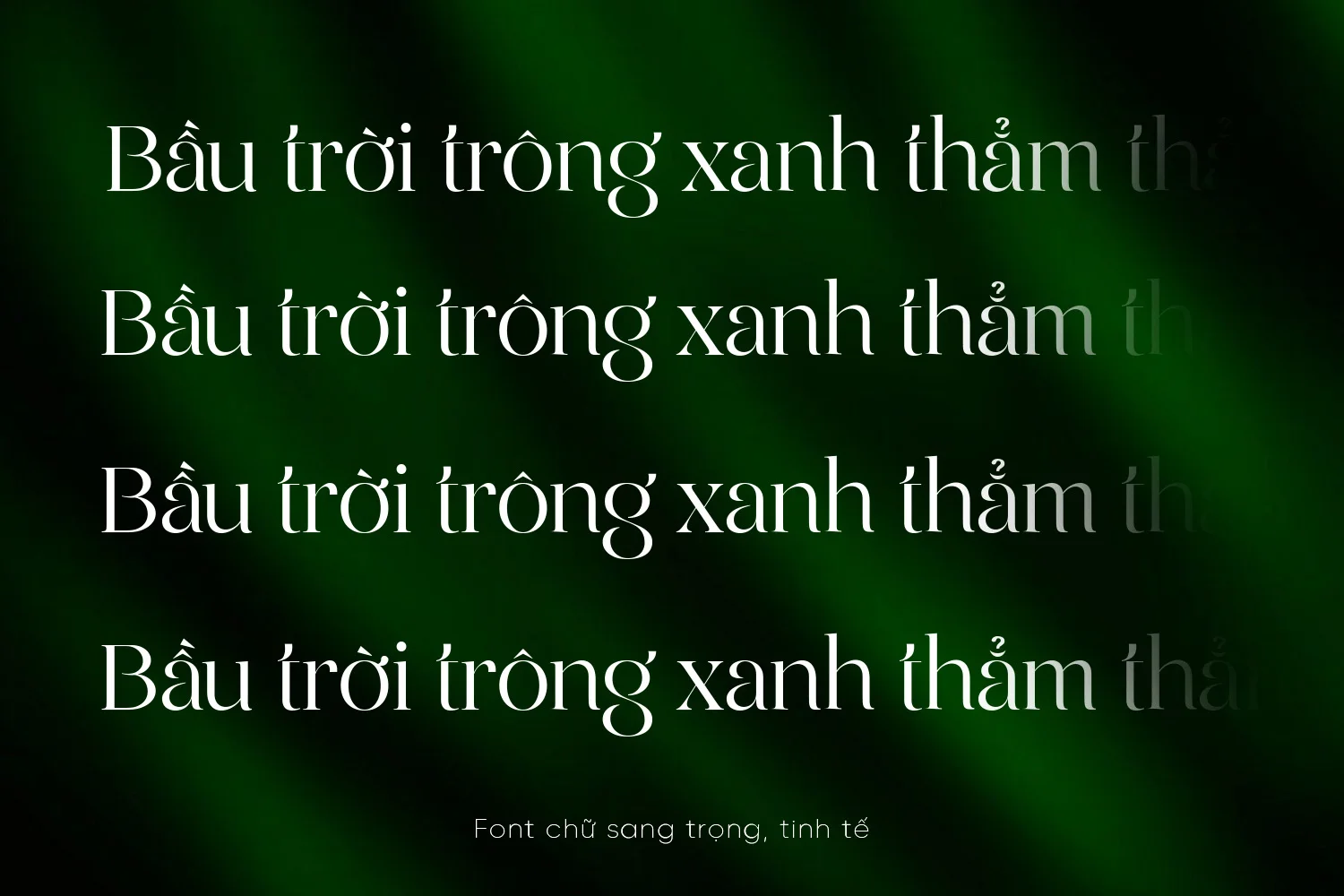 xanh2.webp