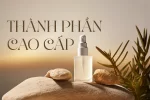 thanhphan.webp