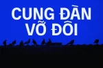 02 (1).webp