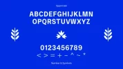 04-04.webp
