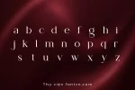 t2.webp