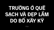 Lam lai-02.webp