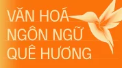 55 Thumnail-55.webp