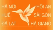 60 YOUNG LẠC-60.webp