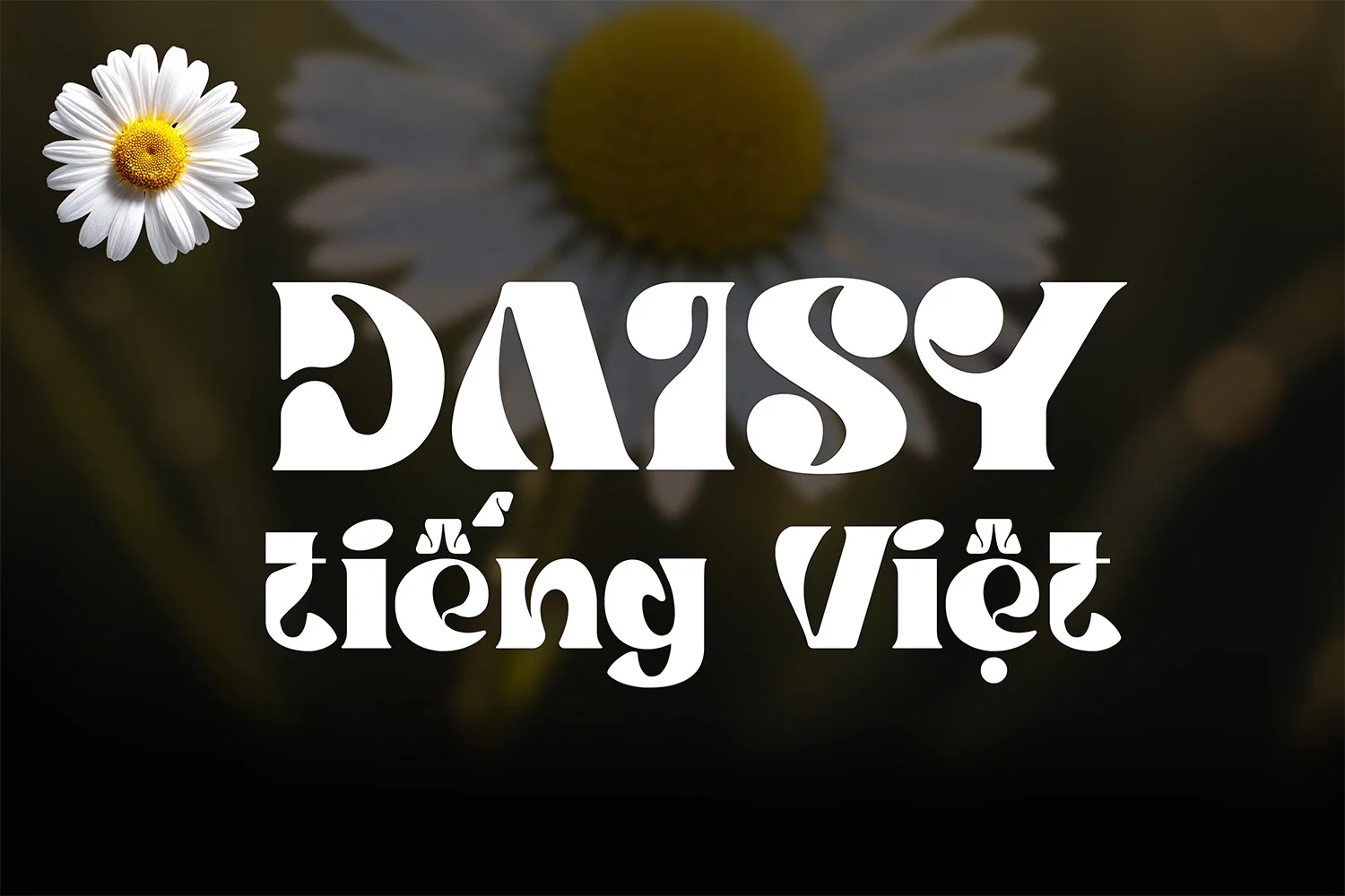 DVN Daisy tiếng Việt - Font chữ hiển thị đẹp mắt