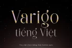 varigo-tv.webp