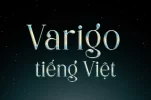 varigo.webp