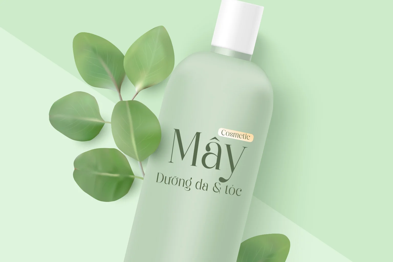 may.webp