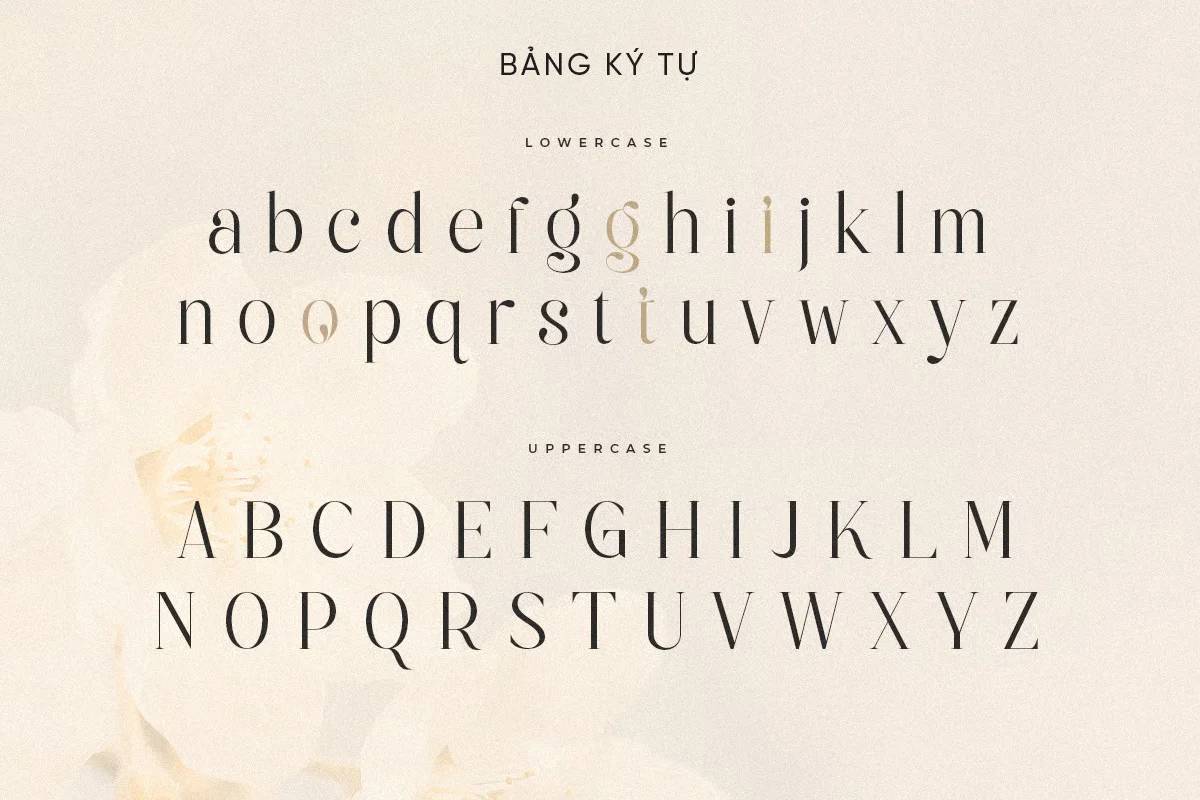 bang-ky-tu.webp