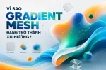 graidn.webp