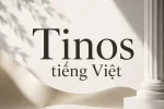 1785816469146.webp