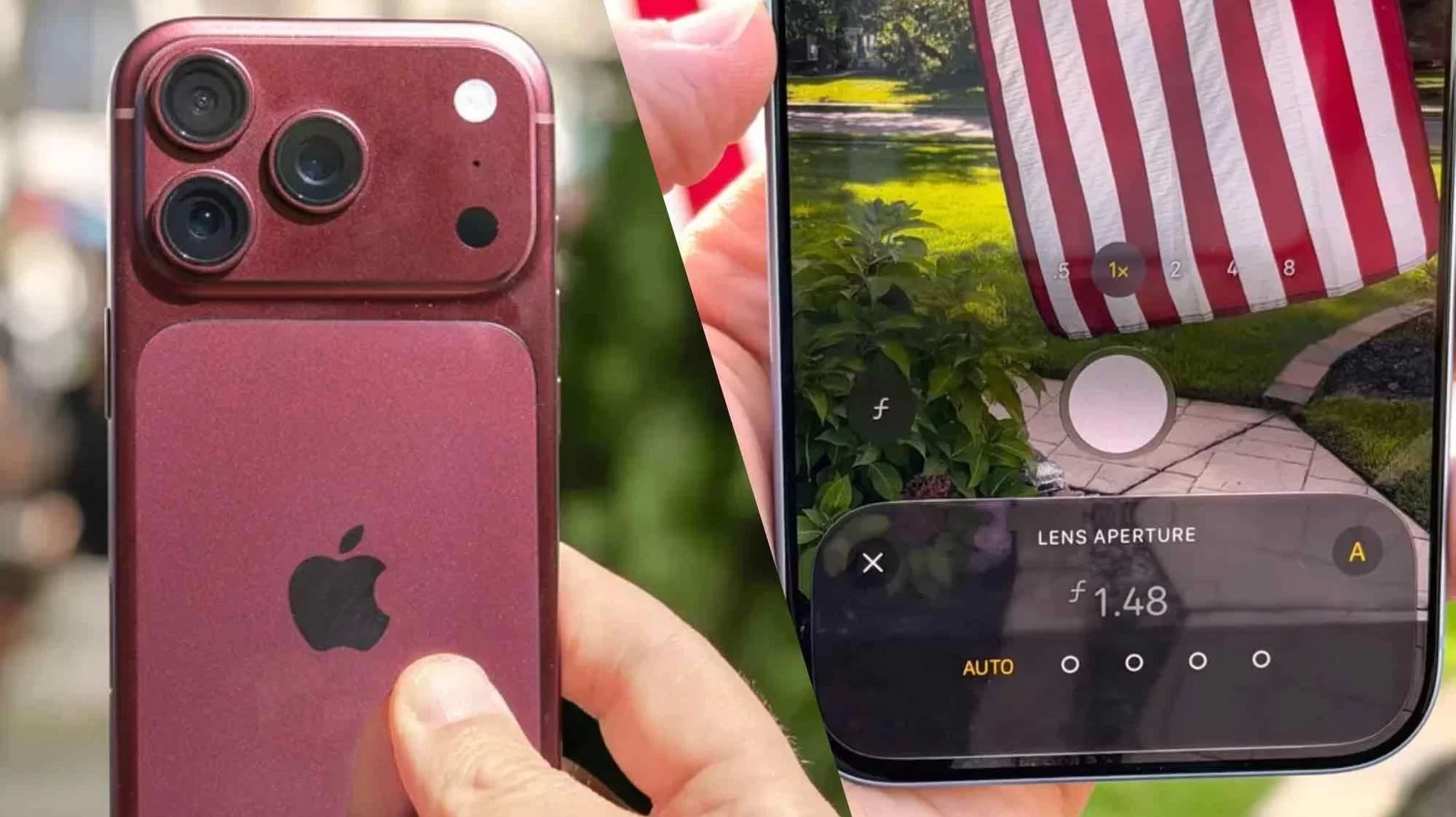 Apple Reference Image là gì mà dân thiết kế nên để tâm?