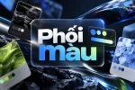 phoimau.webp