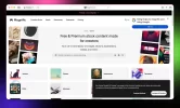 magnific.webp