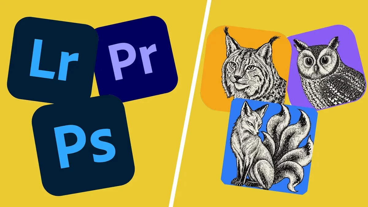 AI có thể tạo ra phần mềm giống Photoshop, Premiere miễn phí, nhưng liệu designer đã có thể sử dụng để làm việc?